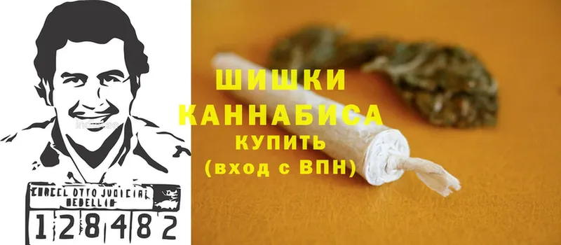 Шишки марихуана Ganja  mega сайт  Гатчина 